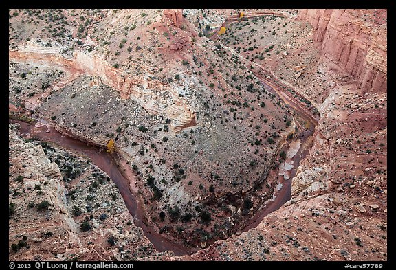 Sulfur Creek Goosenecks. Capitol Reef National Park (color)