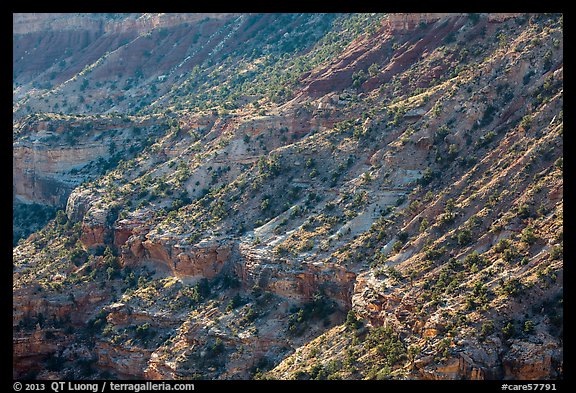 Sulfur Creek Canyon Wall. Capitol Reef National Park, Utah, USA.