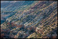 Sulfur Creek Canyon Wall. Capitol Reef National Park, Utah, USA. (color)