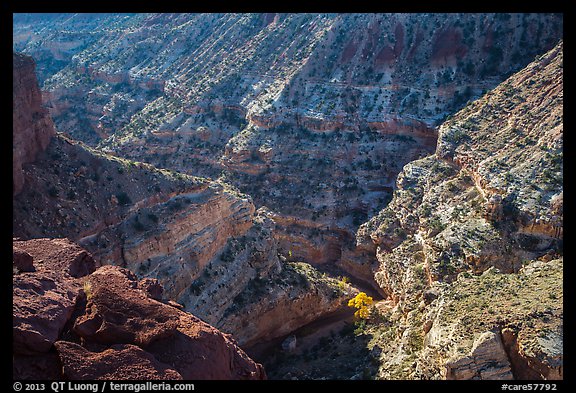 Sulfur Creek Canyon. Capitol Reef National Park, Utah, USA.