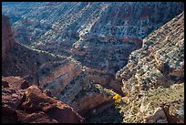 Sulfur Creek Canyon. Capitol Reef National Park, Utah, USA. (color)