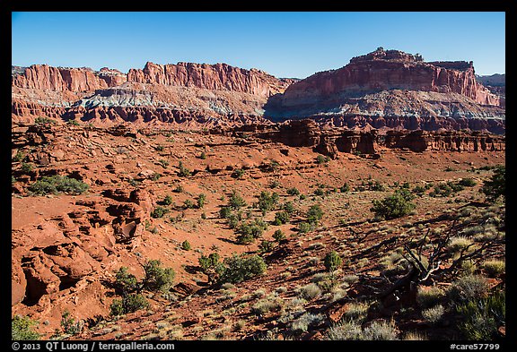 Junipers and Mummy cliffs. Capitol Reef National Park (color)