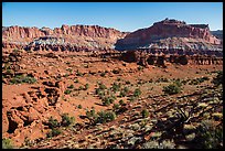 Junipers and Mummy cliffs. Capitol Reef National Park, Utah, USA. (color)