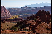 Morning from Sunset Point. Capitol Reef National Park, Utah, USA. (color)