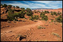 Trail near Sunset Point. Capitol Reef National Park, Utah, USA.