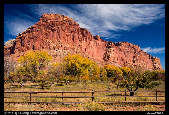 Historic orchard and cliff in autumn, Fruita. Capitol Reef National Park, Utah, USA.