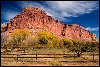 Historic orchard and cliff in autumn, Fruita. Capitol Reef National Park, Utah, USA.