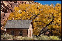 Fruita one-room schoolhouse in autumn. Capitol Reef National Park, Utah, USA.