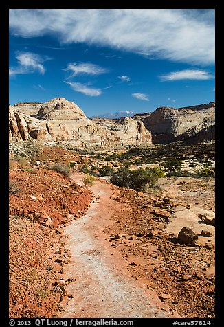 Primitive trail on natural slab. Capitol Reef National Park (color)