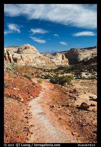 Primitive trail on natural slab. Capitol Reef National Park, Utah, USA.