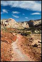 Primitive trail on natural slab. Capitol Reef National Park, Utah, USA. (color)