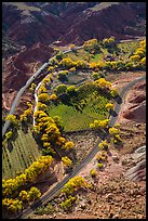 Fruita orchards in the fall, seen from above. Capitol Reef National Park, Utah, USA. (color)