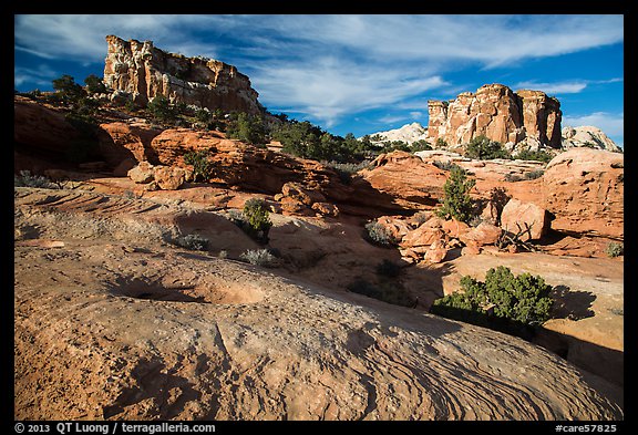 Sandstone swirls and domes, North Rim. Capitol Reef National Park, Utah, USA.