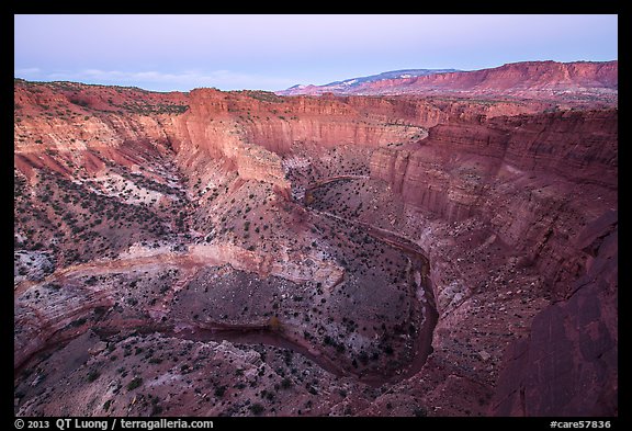 Goosenecks of Sulfur Creek and Waterpocket Fold at dawn. Capitol Reef National Park, Utah, USA.