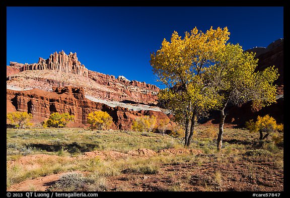 Castle Meadow and Castle in autumn. Capitol Reef National Park, Utah, USA.