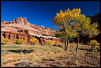 Castle Meadow and Castle in autumn. Capitol Reef National Park, Utah, USA.