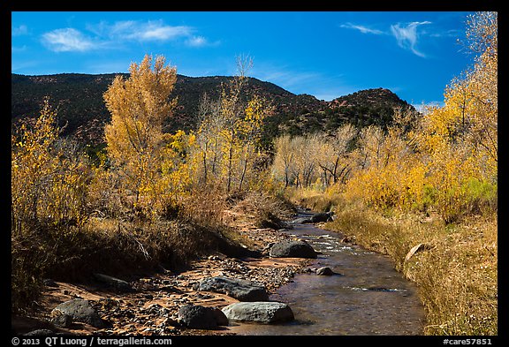 Pleasant Creek in autumn. Capitol Reef National Park (color)