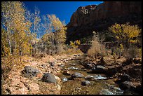 Pleasant Creek, cottowoods, and cliff in autumn. Capitol Reef National Park, Utah, USA. (color)