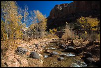 Pleasant Creek, cottowoods, and cliff in autumn. Capitol Reef National Park, Utah, USA.