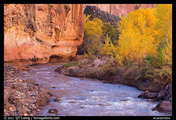 Fremont River, cottonwoods, and cliffs in autumn. Capitol Reef National Park (color)