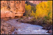 Fremont River, cottonwoods, and cliffs in autumn. Capitol Reef National Park, Utah, USA.