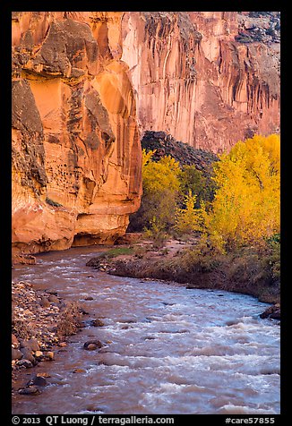 Bend of the Fremont River, cottonwoods, and cliffs in autumn. Capitol Reef National Park (color)