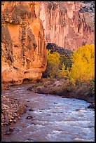 Bend of the Fremont River, cottonwoods, and cliffs in autumn. Capitol Reef National Park, Utah, USA. (color)