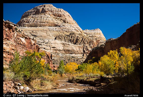 Capitol Dome in autumn. Capitol Reef National Park (color)