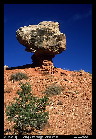 Balanced Rock in  Hartnet Draw. Capitol Reef National Park, Utah, USA.
