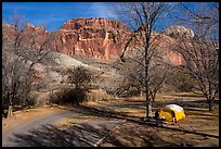 Fruita Campground. Capitol Reef National Park ( color)