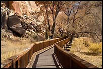 Boardwalk. Capitol Reef National Park ( color)