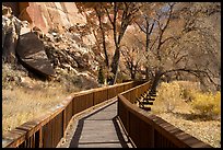 Boardwalk. Capitol Reef National Park ( color)