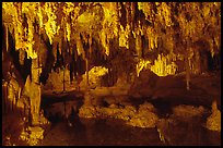 Delicate formations reflected in a pool, Lehman Caves. Great Basin National Park ( color)