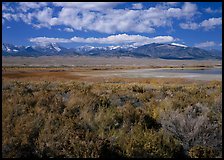 Snake Range raises above Sagebrush plain, seen from the East. Great Basin National Park, Nevada, USA. (color)