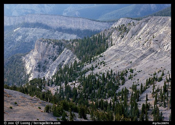 Limestone cliffs near Mt Washington. Great Basin National Park (color)