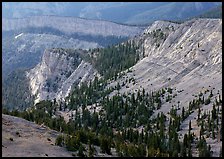 Limestone cliffs near Mt Washington. Great Basin National Park, Nevada, USA.