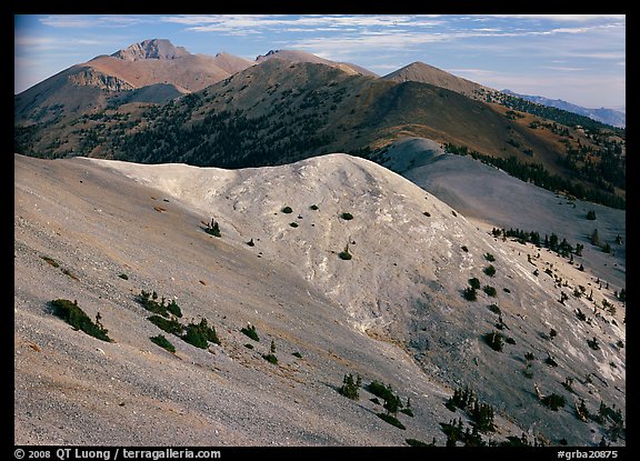 Wheeler Peak and Snake range seen from Mt Washington, morning. Great Basin National Park (color)