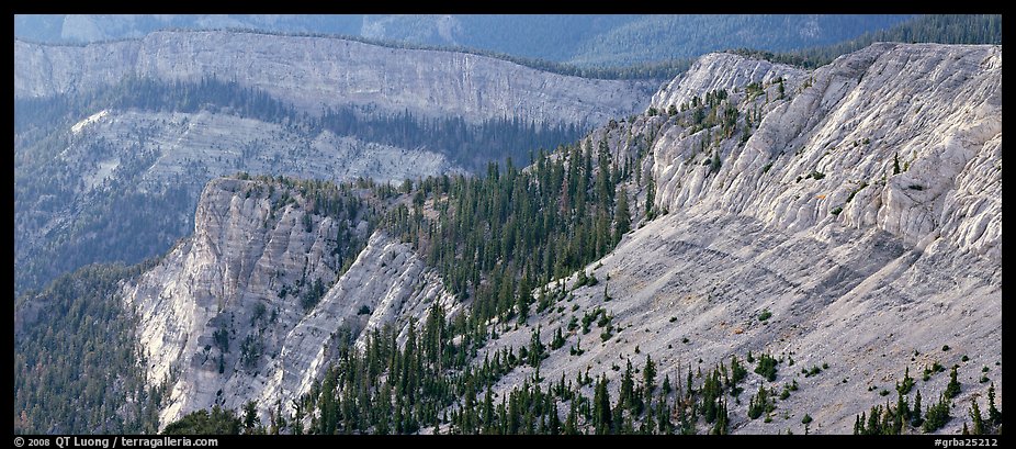 Limestone cliffs. Great Basin  National Park (color)