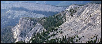 Limestone cliffs. Great Basin  National Park (Panoramic color)