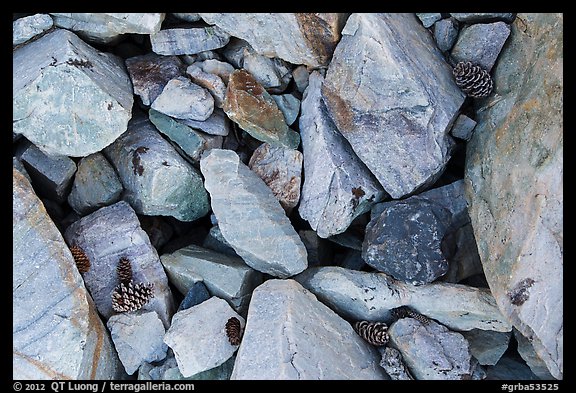 Ground close-up with quartzite blocks and bristlecone pine cones. Great Basin National Park (color)