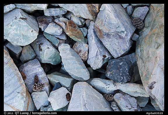 Ground close-up with quartzite blocks and bristlecone pine cones. Great Basin National Park, Nevada, USA.