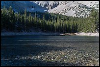 Shadows and conifer forest, Teresa Lake. Great Basin National Park ( color)