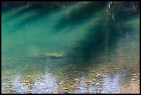 Shadows on Teresa Lake waters. Great Basin National Park ( color)