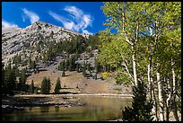 Aspen and Stella Lake. Great Basin National Park ( color)
