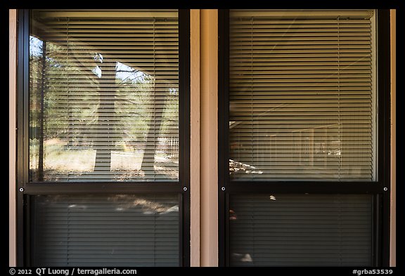 Forest, visitor center window reflexion. Great Basin National Park, Nevada, USA.