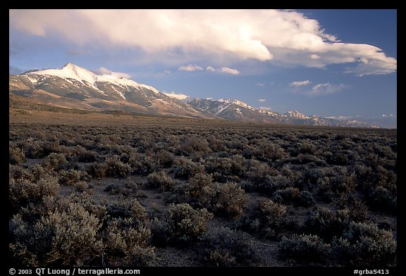 Snake Range and Wheeler Peak raising above Sagebrush, seen from the West, Sunset. Great Basin National Park, Nevada, USA.