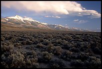 Snake Range and Wheeler Peak above sagebrush flats, from the West. Great Basin National Park, Nevada, USA.