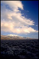 Snake Range and Wheeler Peak raising above Sagebrush, sunset. Great Basin National Park ( color)