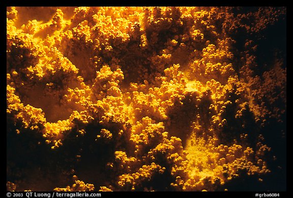 Corn formations, Lehman Cave. Great Basin National Park, Nevada, USA.