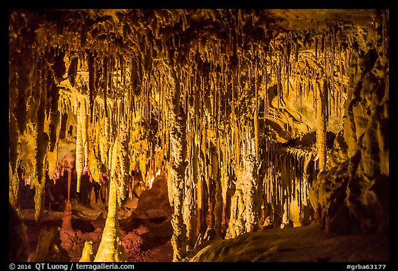 Delicate Stalactites and Stalagmites, the Swamp, Lehman Cave. Great Basin National Park (color)